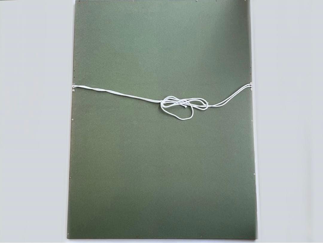 画家　三岸節子　花　黄色い花　額入