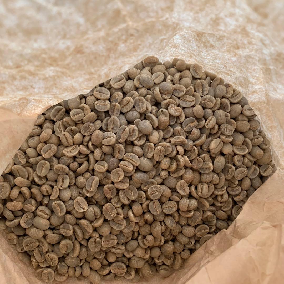 コーヒー生豆 タイ　9kg ハンドピック済み