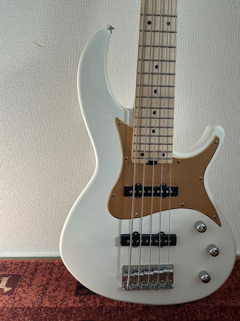 ARIA PRO II RSB SERIES 5弦ベース