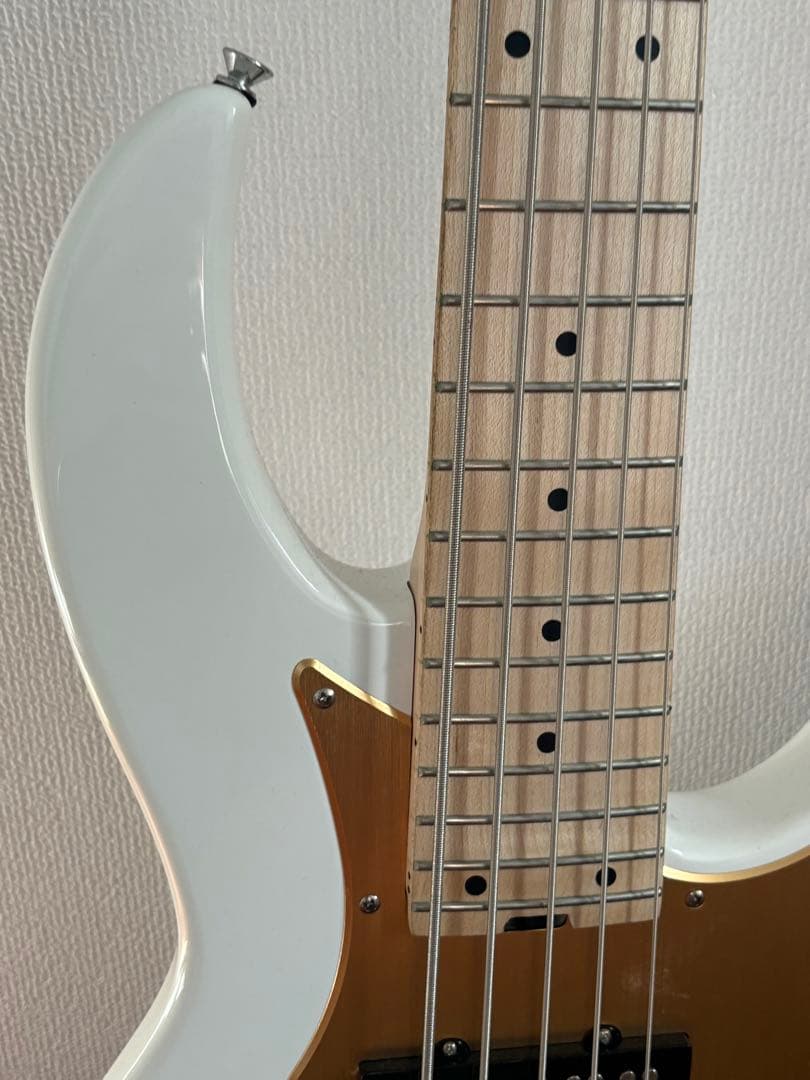 ARIA PRO II RSB SERIES 5弦ベース