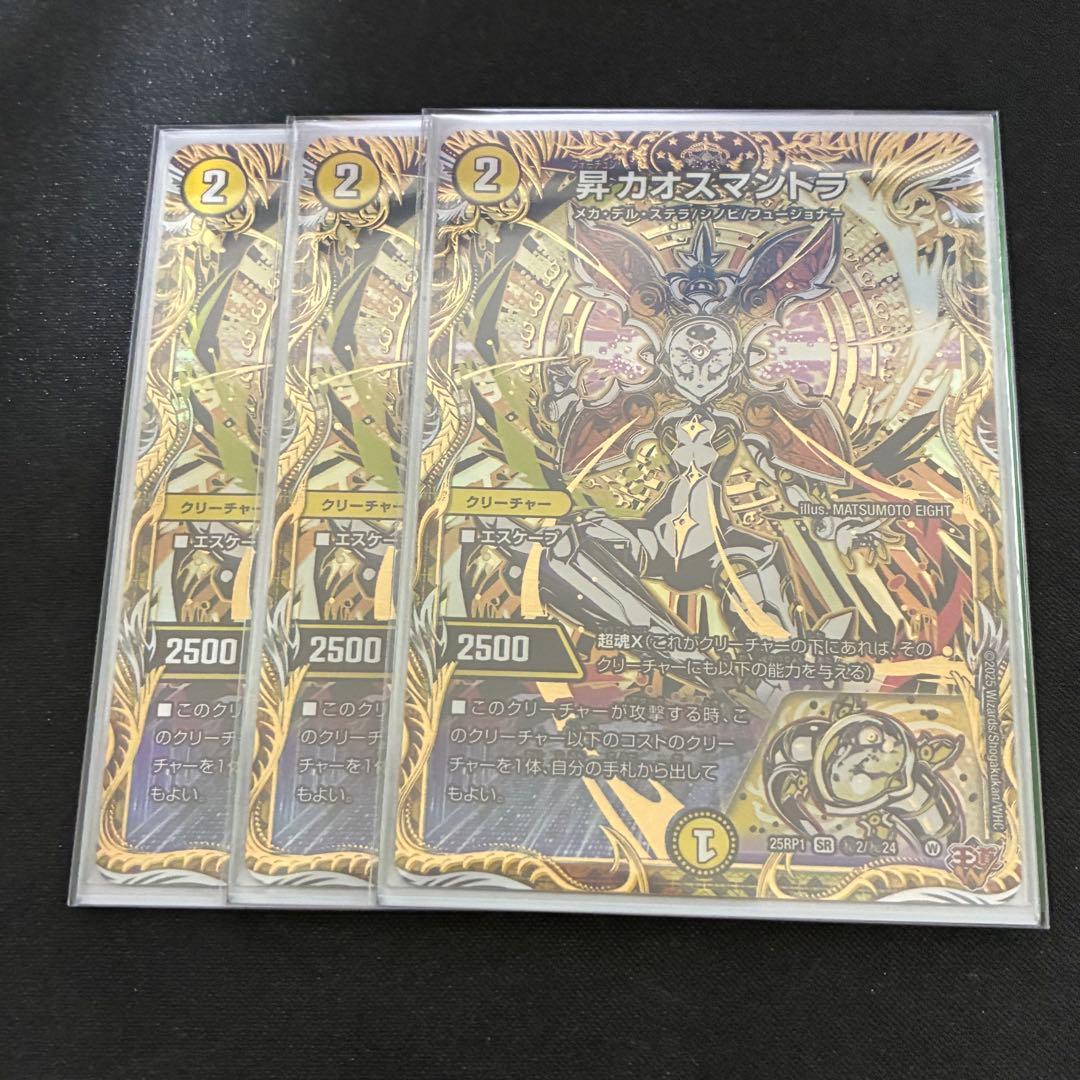 専用昇カオスマントラ　シク