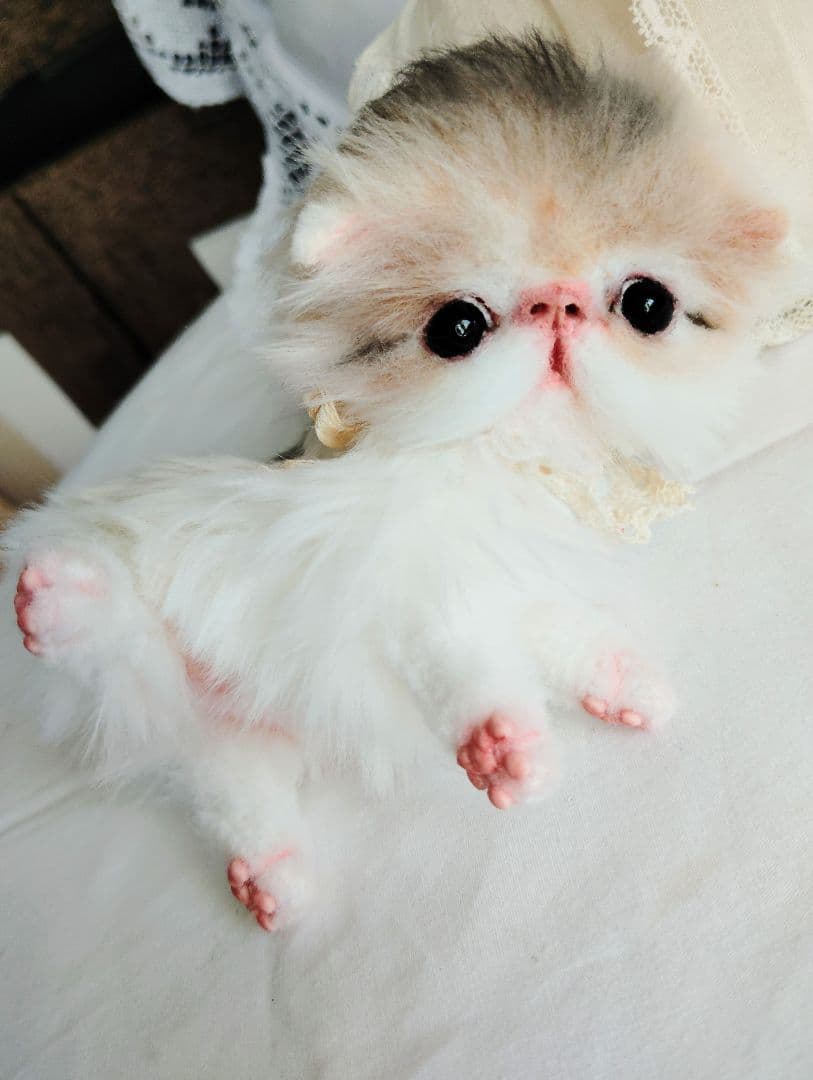 ママ募集❤くりくりオメメ♡ちっちゃな子猫ちゃん♡アートドール♡ぬいぐるみ♡