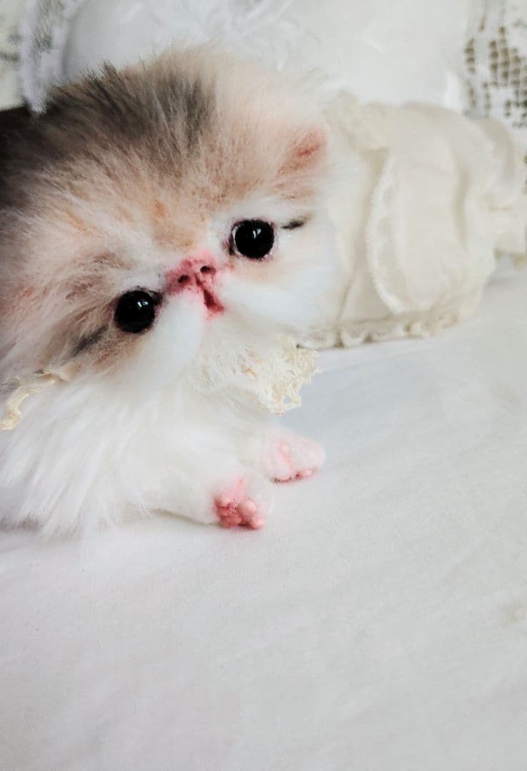 ママ募集❤くりくりオメメ♡ちっちゃな子猫ちゃん♡アートドール♡ぬいぐるみ♡