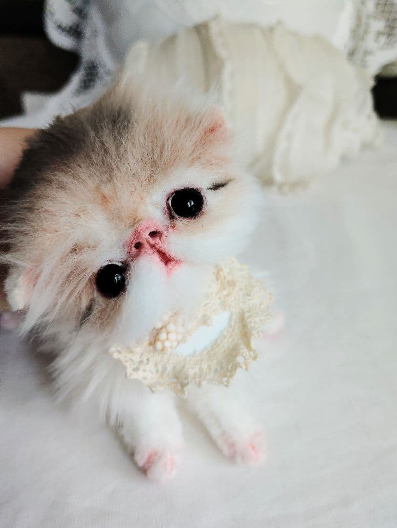 ママ募集❤くりくりオメメ♡ちっちゃな子猫ちゃん♡アートドール♡ぬいぐるみ♡