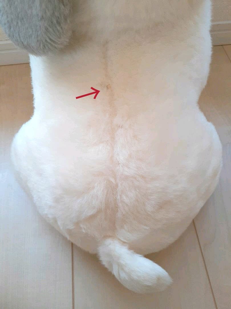 Sale❤ヴィンテージ❤昭和レトロ❤うめ吉❤ぬいぐるみ❤大きいサイズ