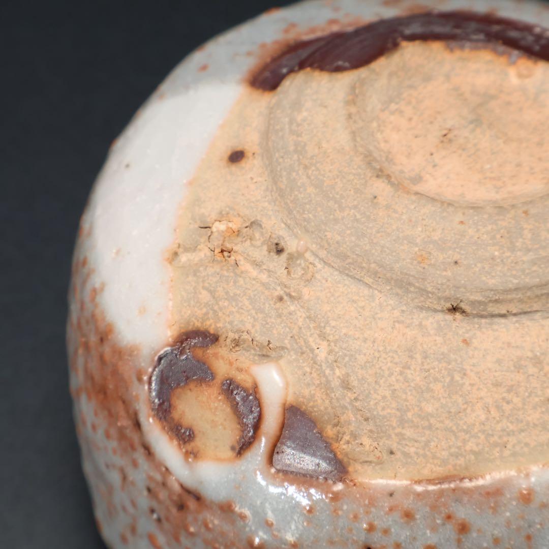 【最終価格】抹茶碗　鼠志野亀の絵　月形那比古　夏至亀　共箱　R1424お14