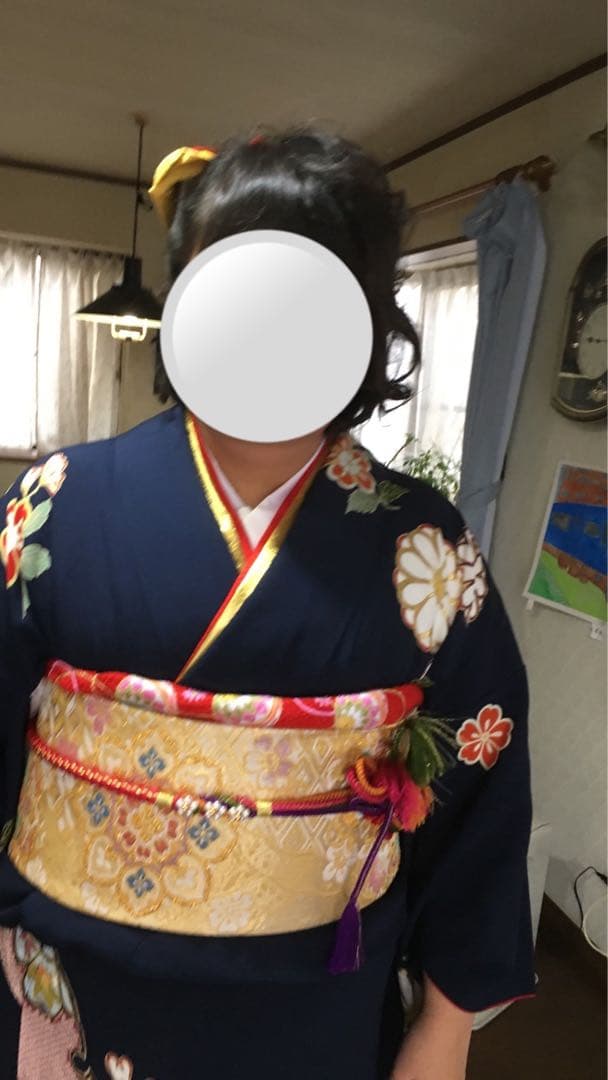 京都友禅振袖、大きめサイズと長襦袢、袋帯、三点セット