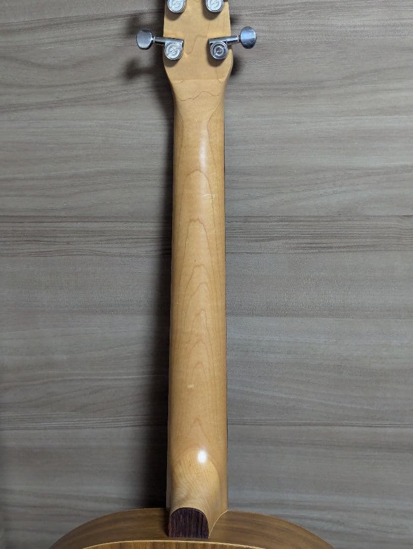 Seagull Walnut mini jumbo カナダ製