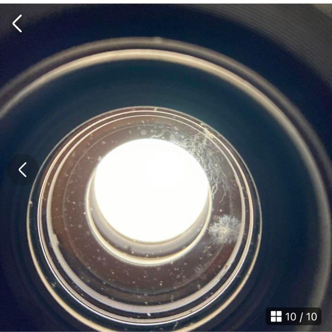 マミヤRB67pro fessional 250mm4.5レンズ付