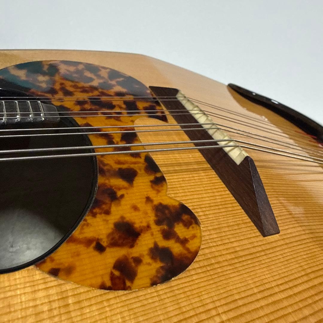 藤丸常夫　No.artistマンドリン