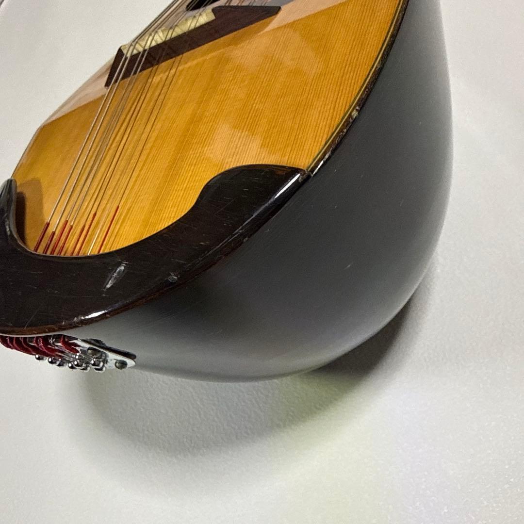 藤丸常夫　No.artistマンドリン