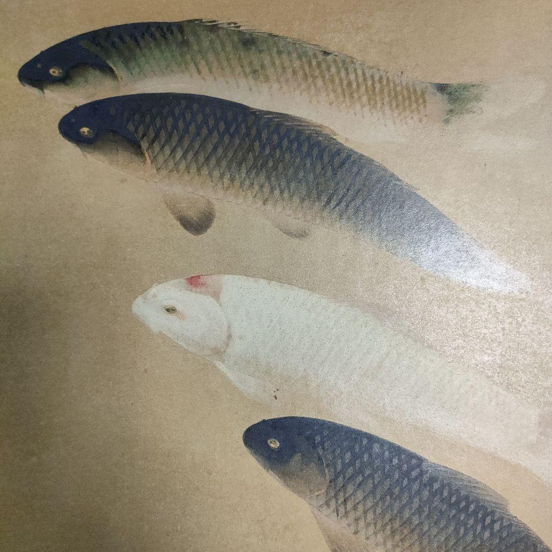 川端龍子　彩色日本画『魚彩』P8号