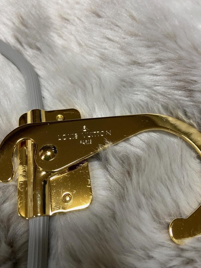 Y*I様 美品 LOUIS VUITTON LV ルイヴィトン ペガス50 スー