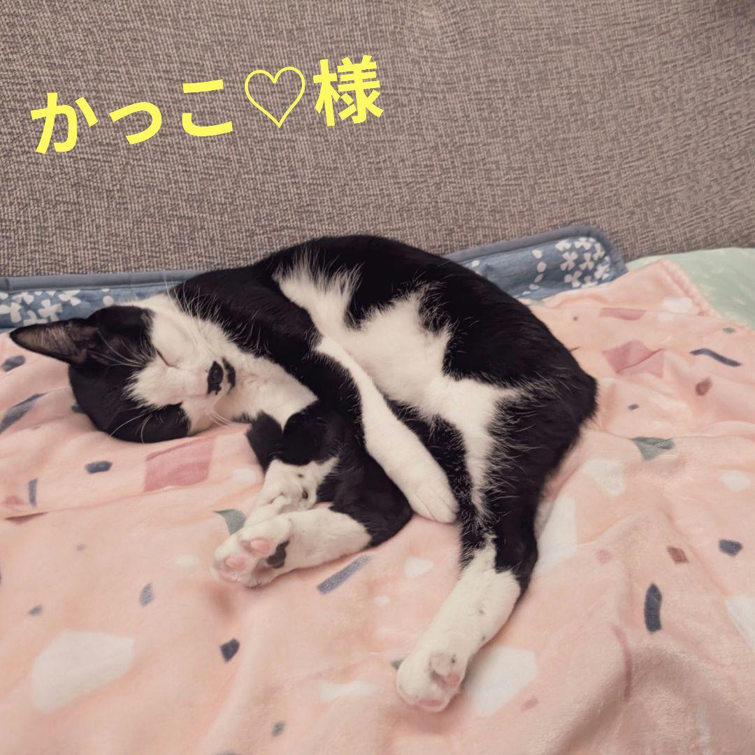 かっこ♡です！