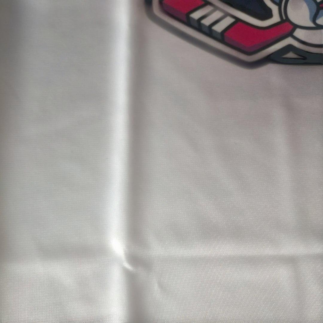 BLUE SCORPIONS アイスホッケー プライド ユニフォーム 木村拓哉