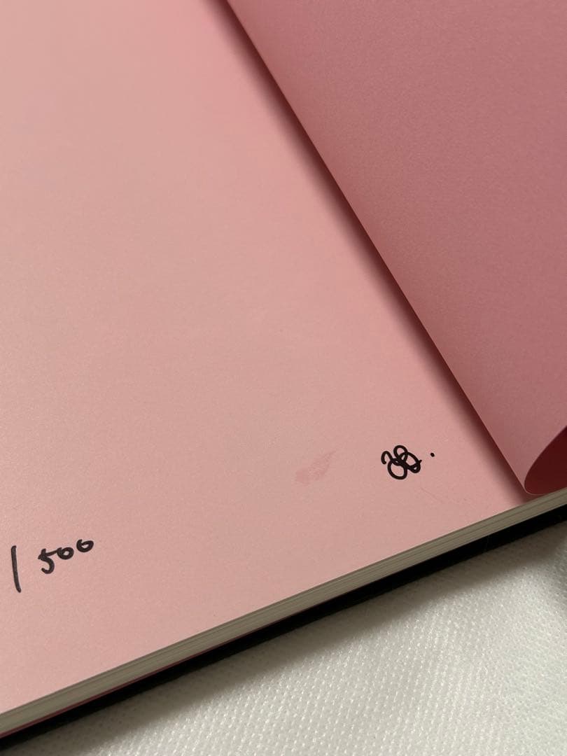 直筆サイン入り 平子雄一 YUICHI HIRAKO PAINTINGS