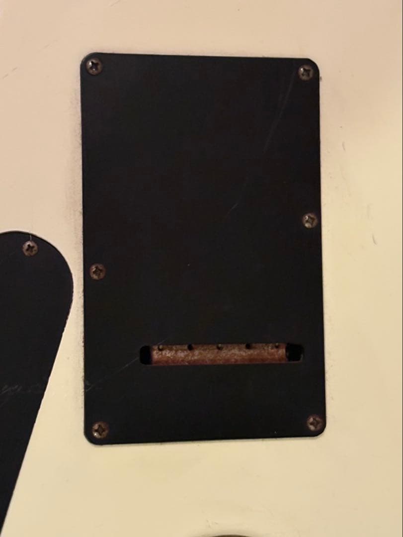 ギター Fernandes The Function