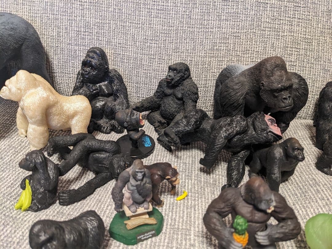 ゴリラの群れ　 約70体