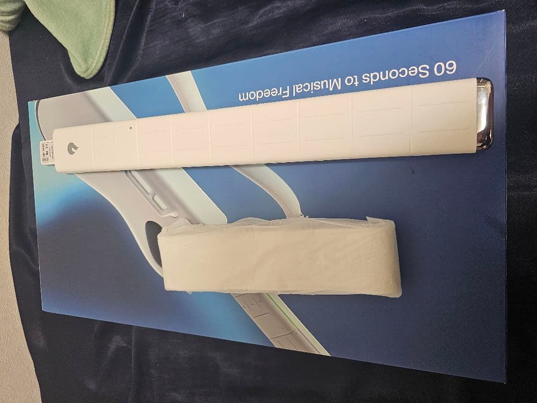 ギター LAVA MUSIC GENIE