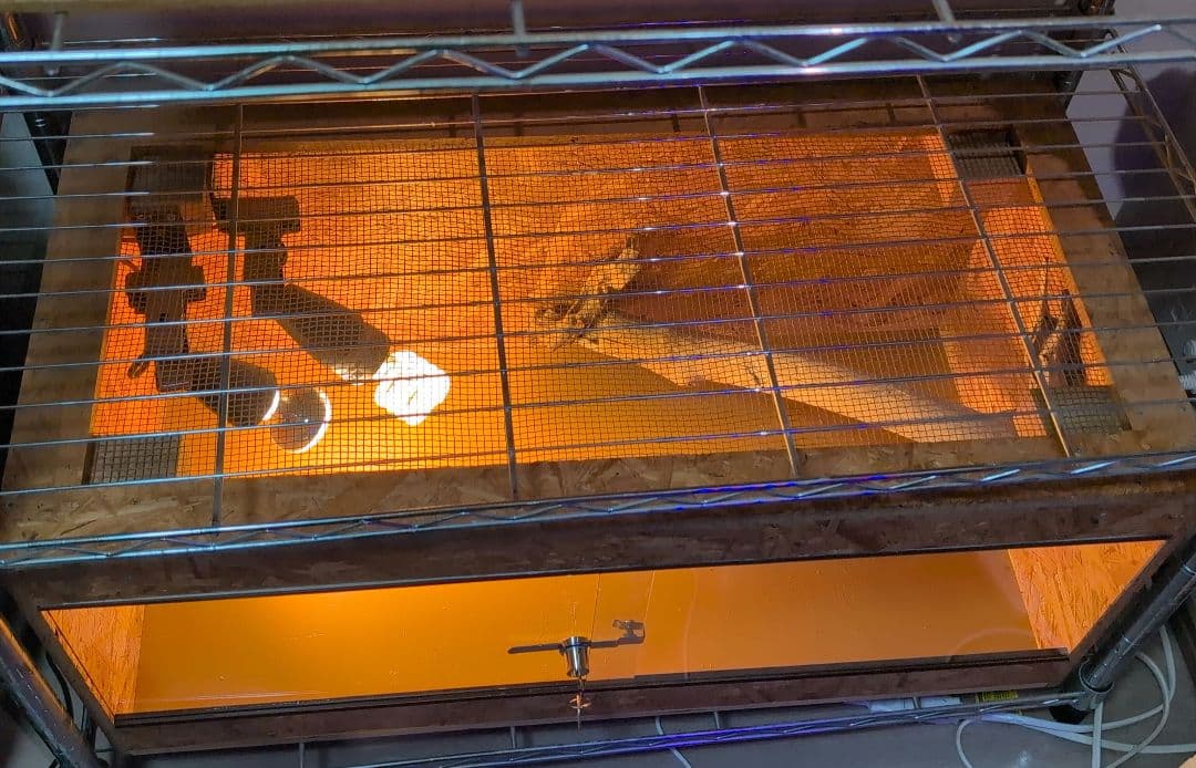 中型爬虫類飼育ケージ ランプステー、登り木付き