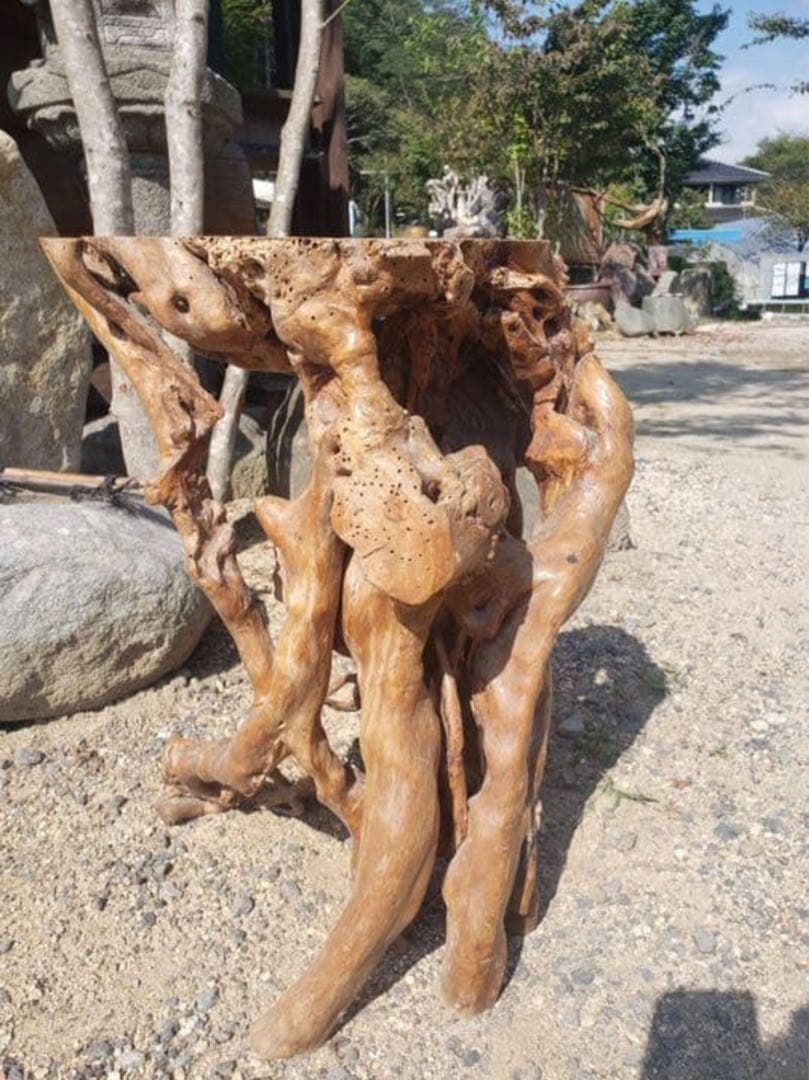 盆栽花台　根卓　ユニークな木製インテリアオブジェ m-NO210高さ60センチ