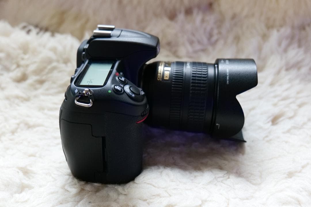 ニコン　D300+AF-S DX 18-70mm F3.5-5.6 G ED