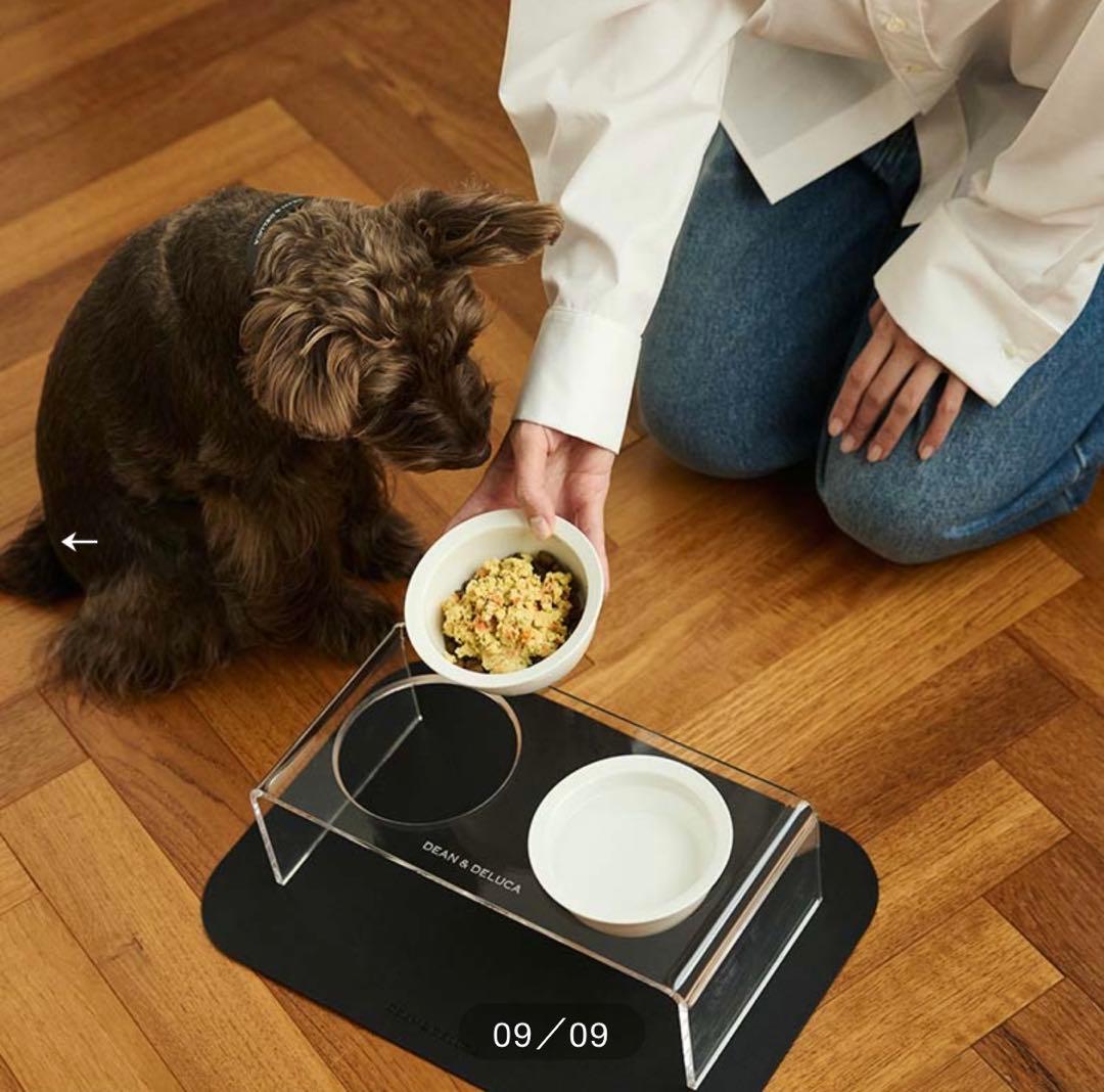 DEAN&DELUCA CITYDOG フードスタンド　新品