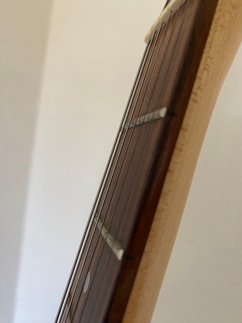 Bacchusテレキャスタータイプ エレキギター