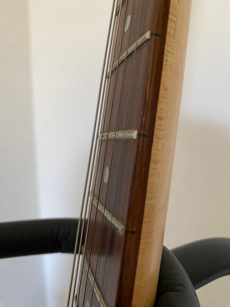 Bacchusテレキャスタータイプ エレキギター