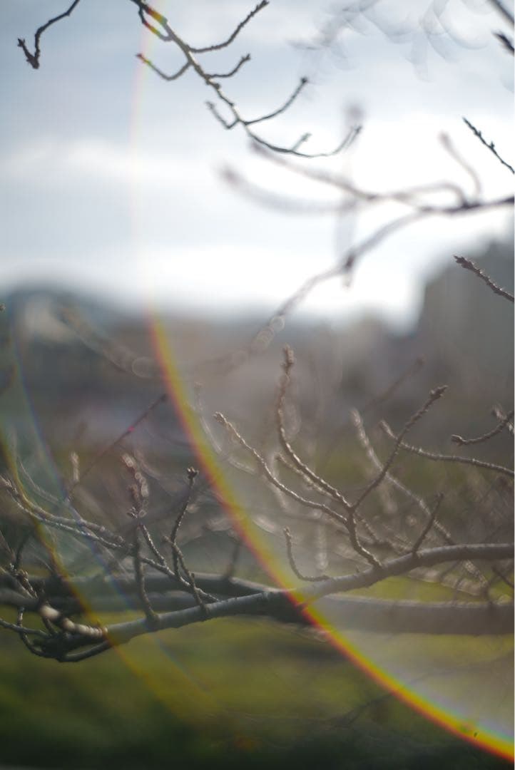 Rumi ライカ Summarit 50mm f1.5 Mマウント仕様