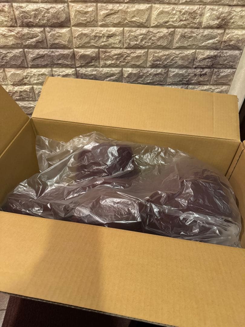 リラクッション (Mサイズ )カラーブラウン