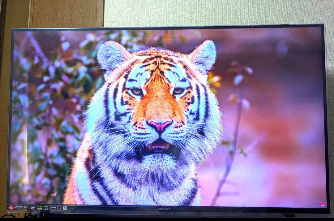 JAPANNEXT 43インチ 4K UHD モニター 保護カバー付き