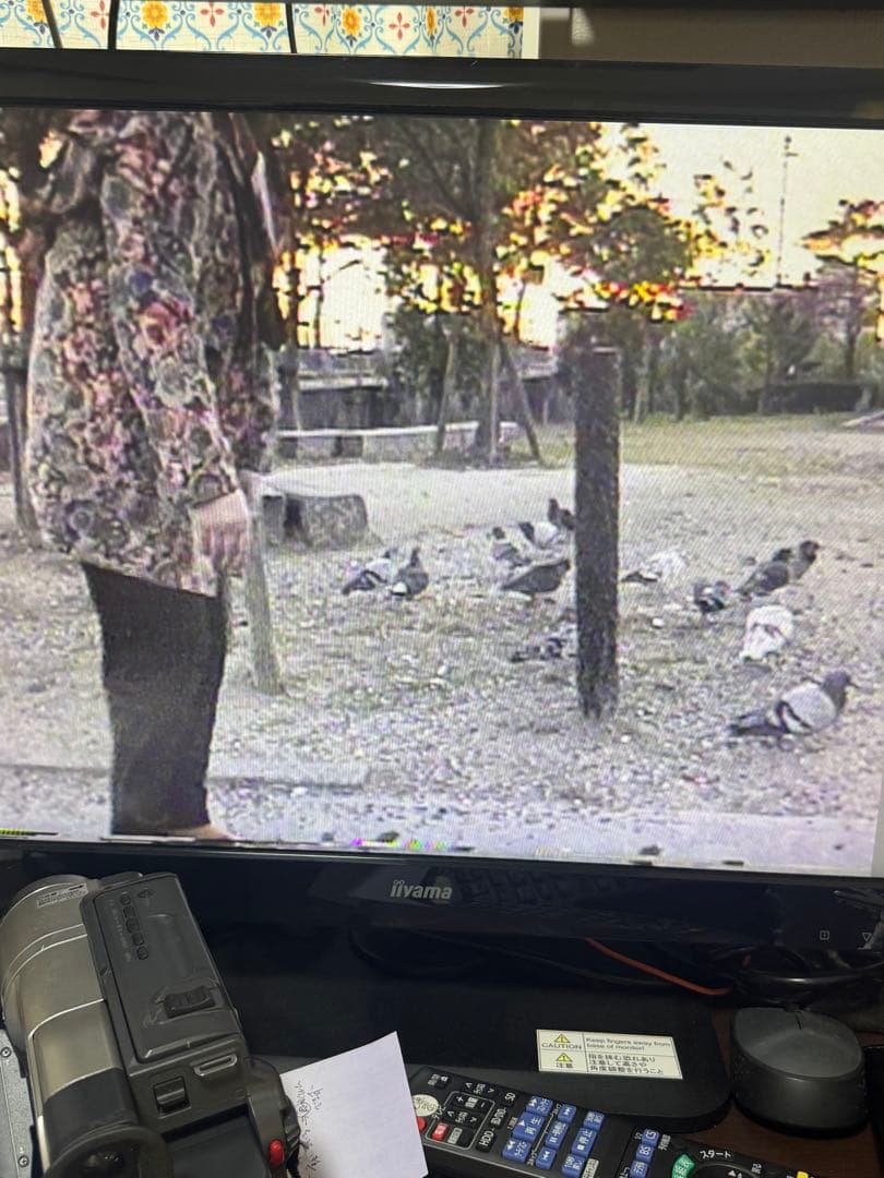 【撮影・再生可能】SONY　CCD-TRV96　Hi8 ナイトショット