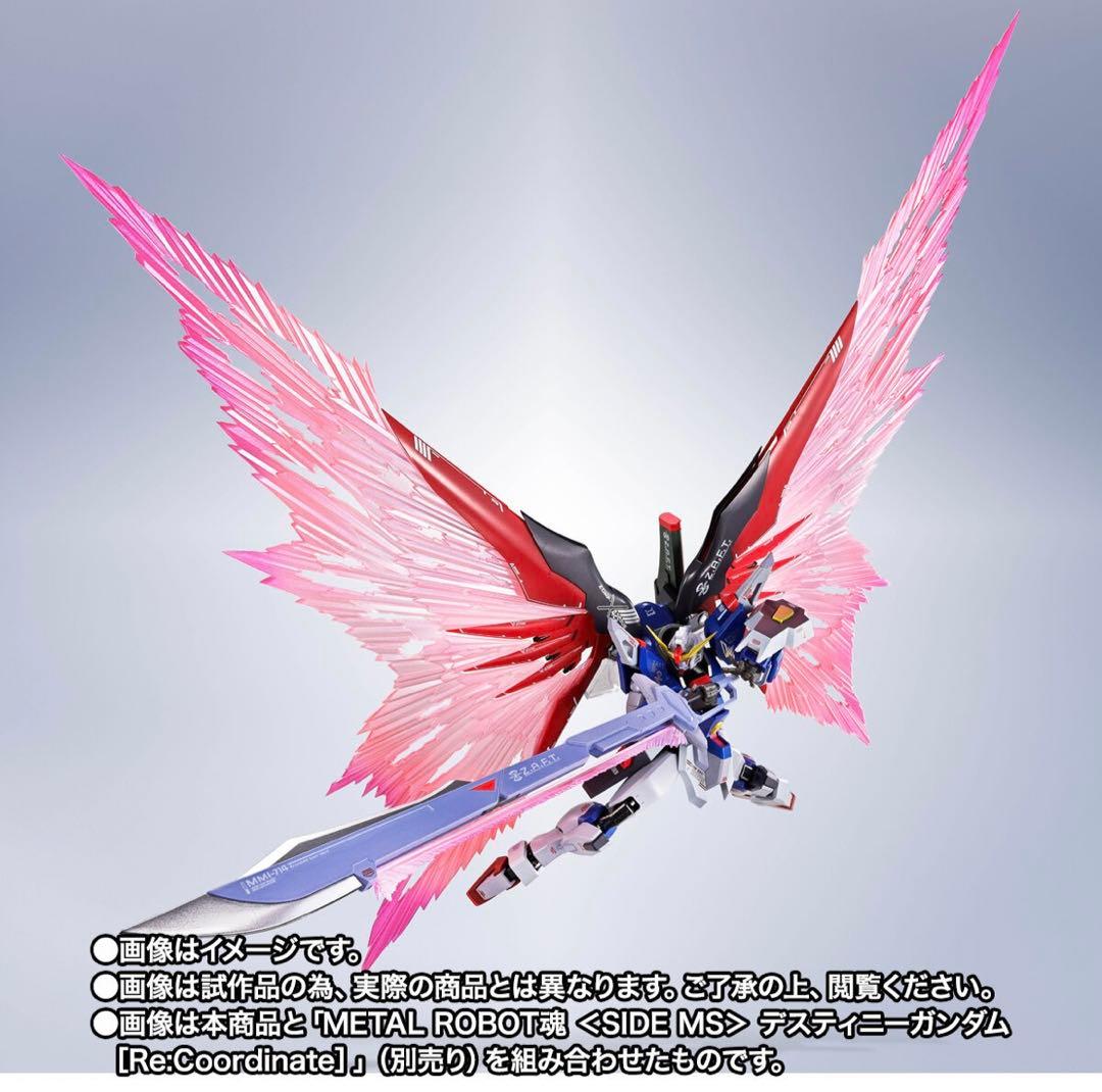 L ROBOT魂 デスティニーガンダムRe:Coordinat専用光の翼