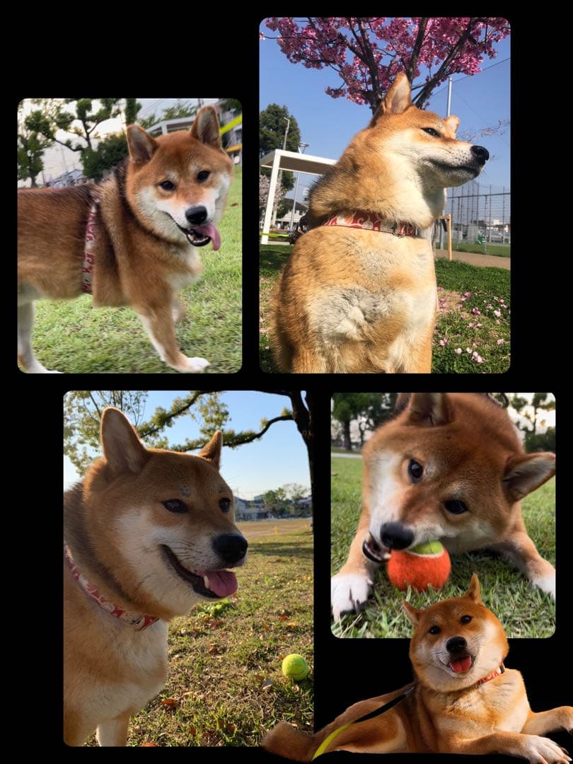 j.t95☆様ご確認用