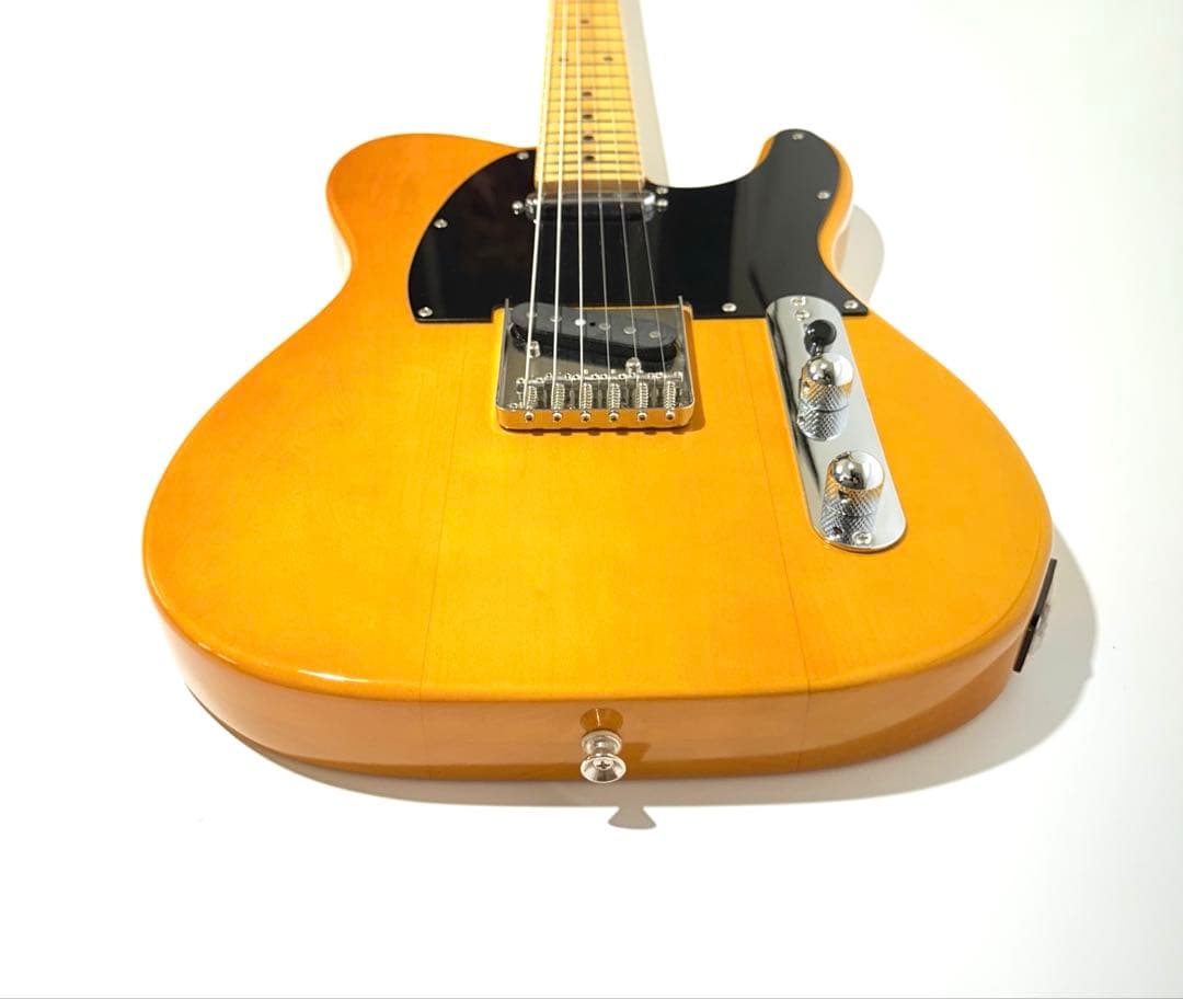 Fujigen NTE10M エレキギター フジゲン