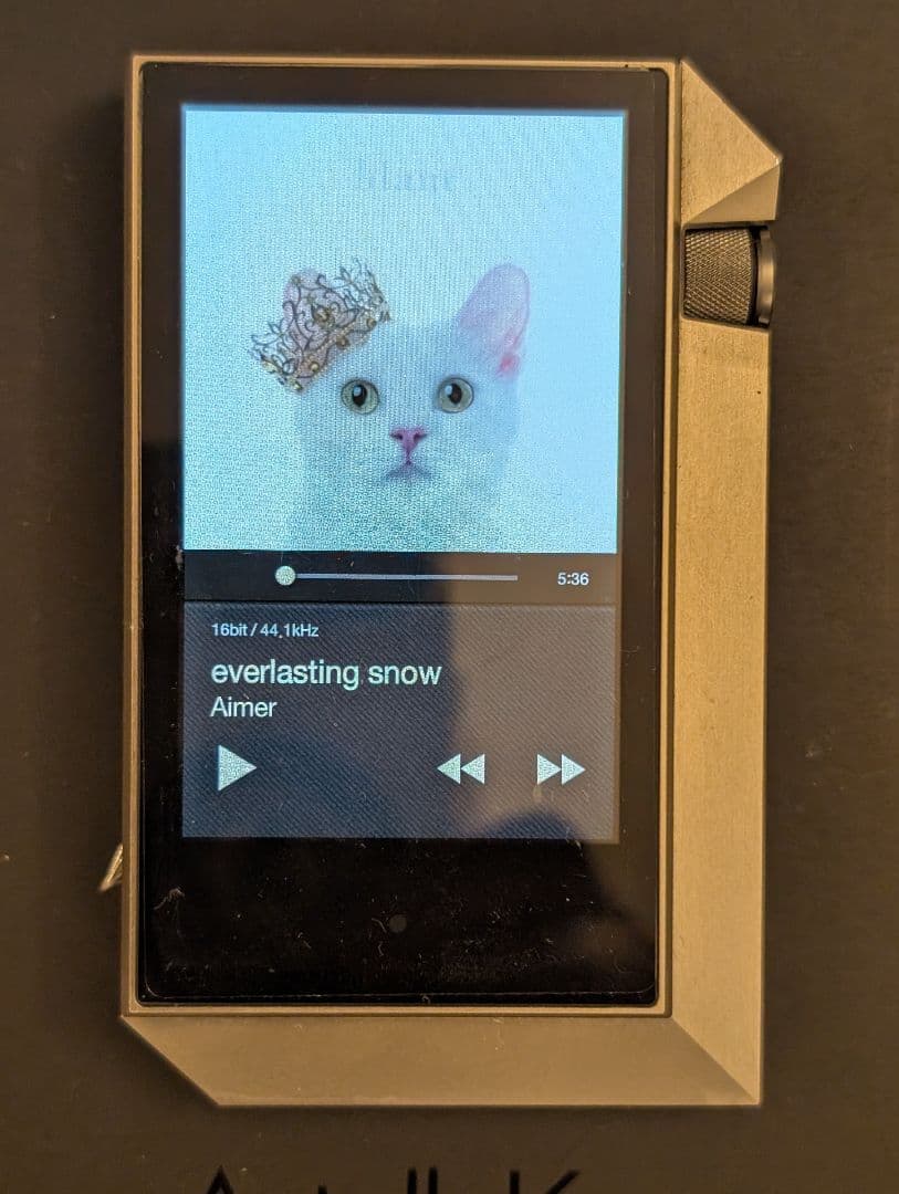 ジャンク品　Astell&Kern デジタルオーディオプレーヤー AK240