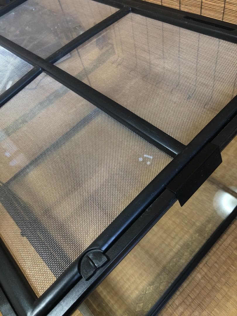 エキゾテラ GEX EXOTERRA グラステラリウム 6045 PT2610