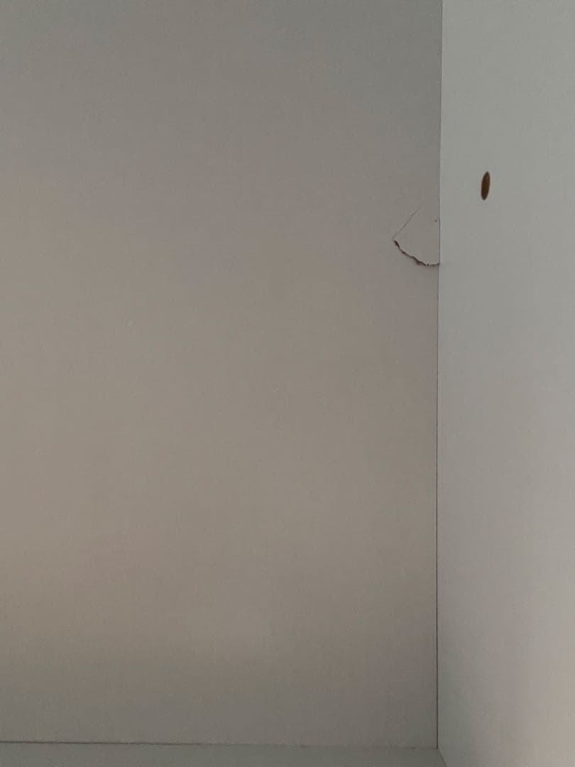 ディノス がっちり安定 造り付けのような乾燥機置き台