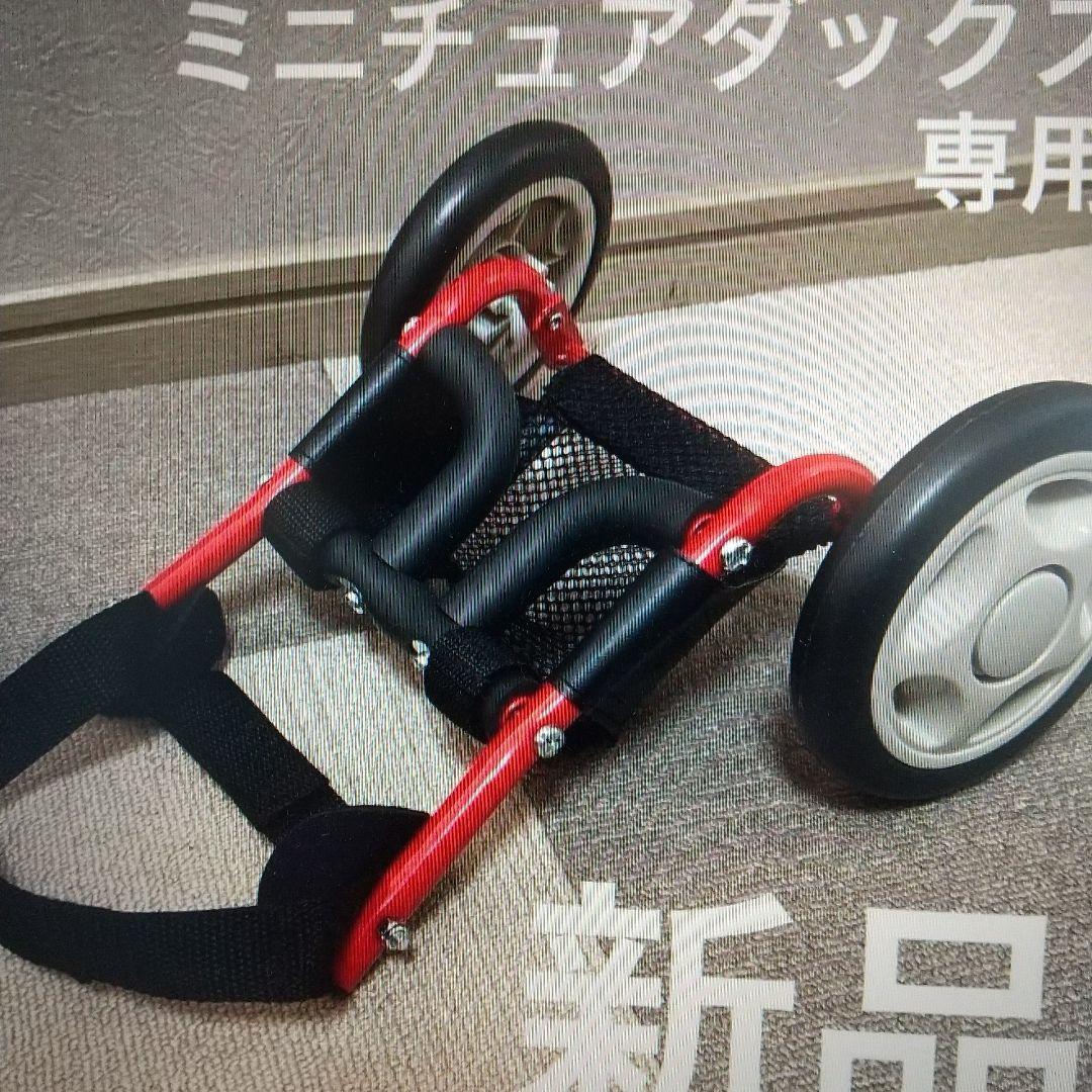 犬　車いす