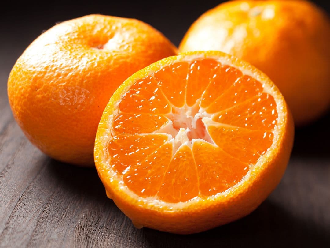 即購入OK☆　EM入り　よもぎ入り　無添加石鹸水　ミントの香り　23ｋｇ