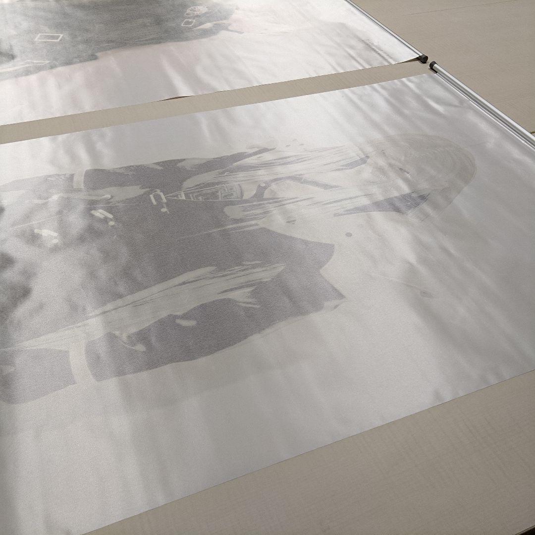 D‘s plants 月金発送　セフィロス　クラウド　ポスター