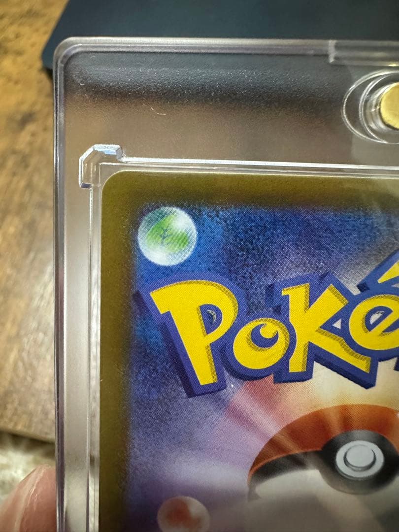 リーリエの決心、リーリエピッピSAR おまけつき！