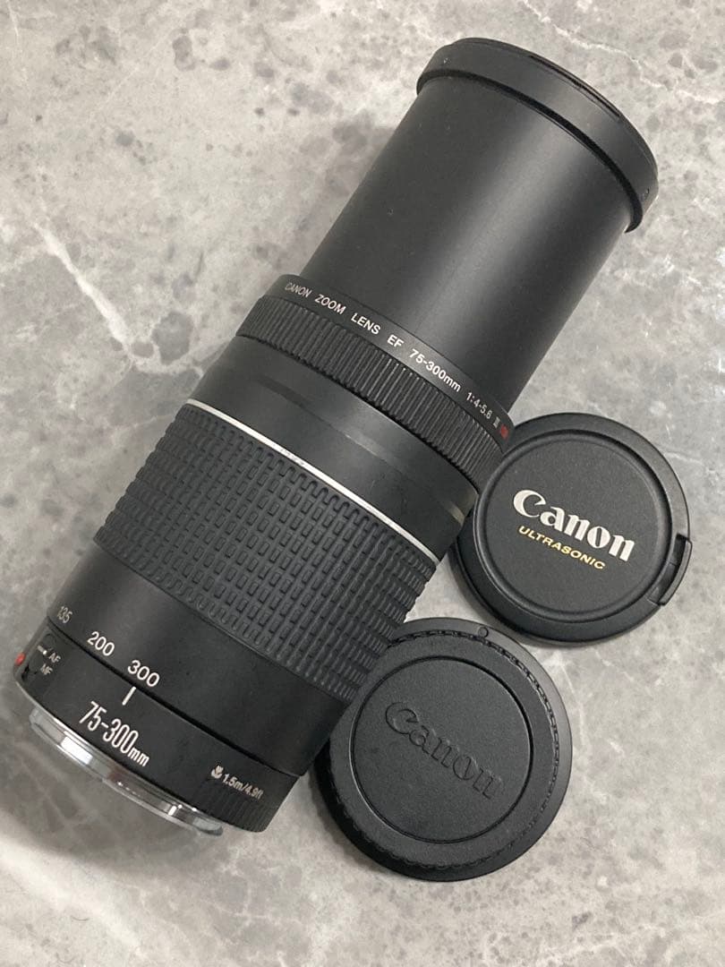 ⭐️完動品⭐️ Canon EF75-300mm & 28-80mmダブルレンズ