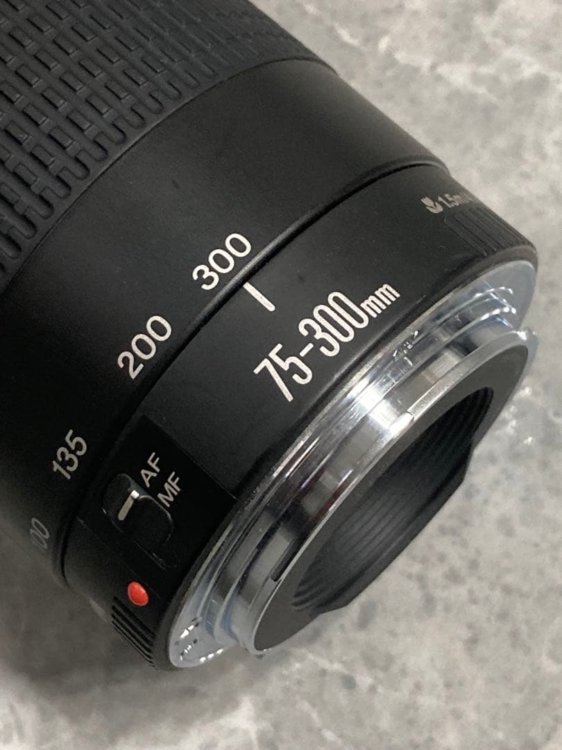 ⭐️完動品⭐️ Canon EF75-300mm & 28-80mmダブルレンズ