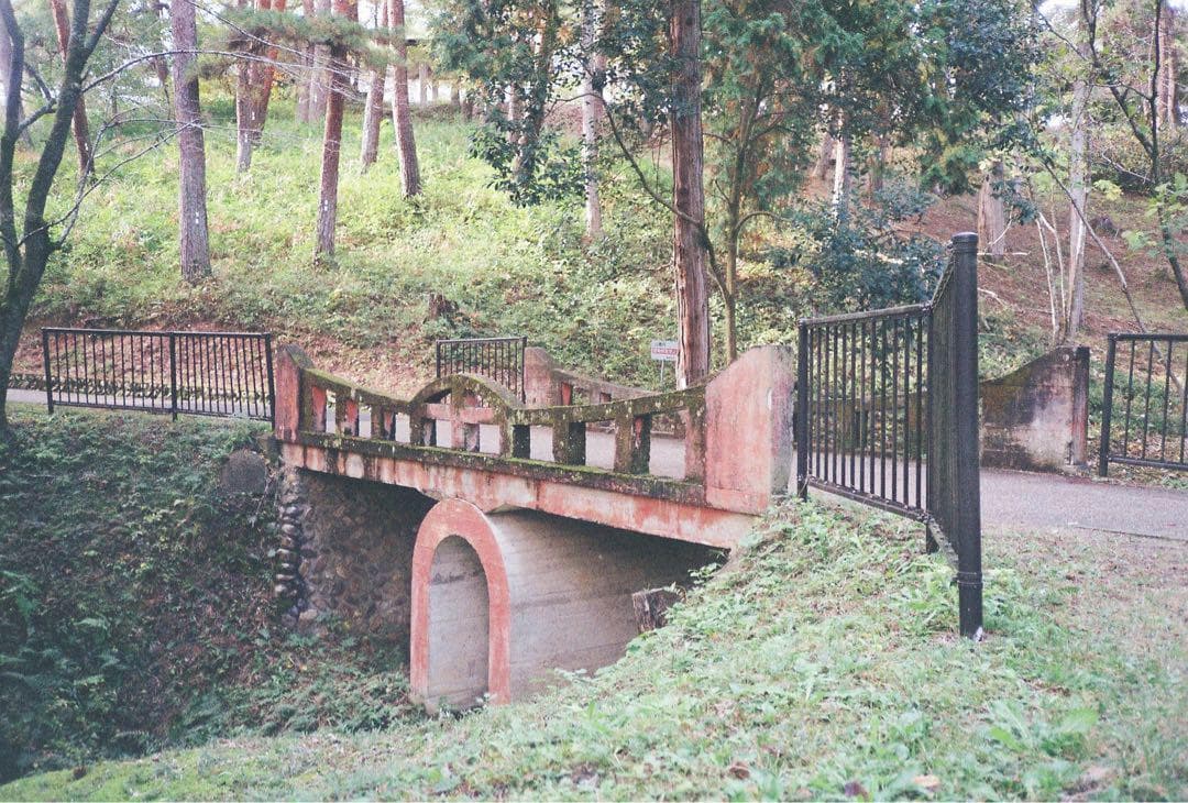 【ずん様　完動品】Nikon L35AD ASA1000 ピカイチ 動作確認済み