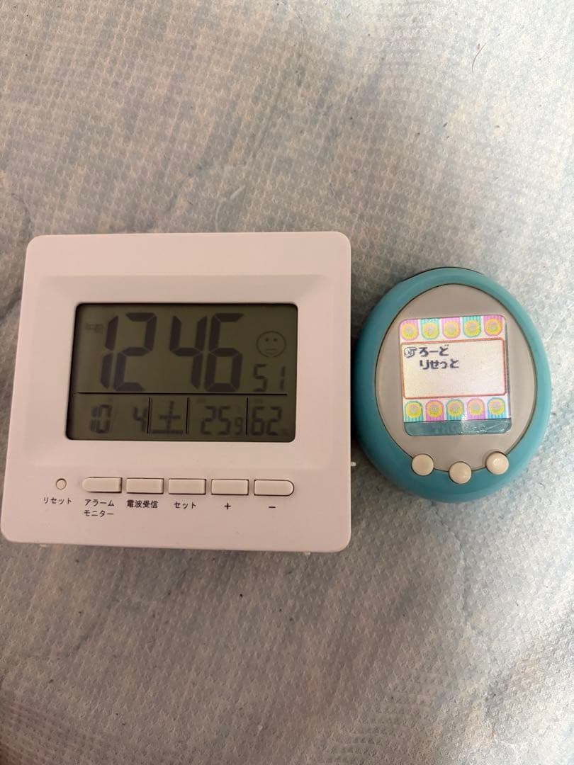 たまごっち プラスカラー 訳あり