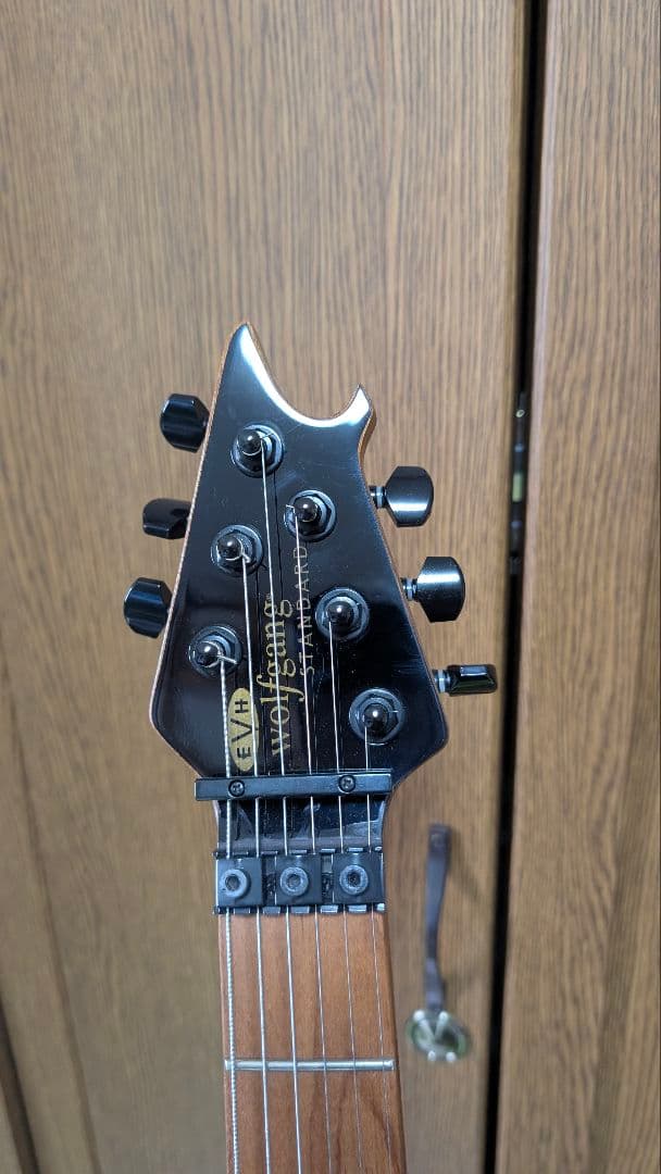 EVH Wolfgang Standard【ネック少々難あり】