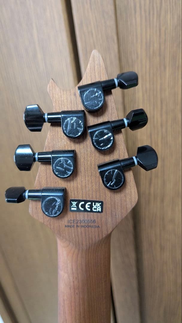 EVH Wolfgang Standard【ネック少々難あり】