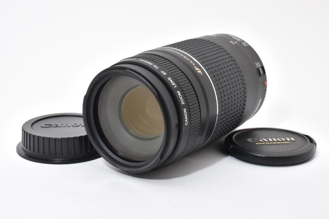 ★極美品★キヤノン EF 75-300mmf4-5.6 iii USM#1513